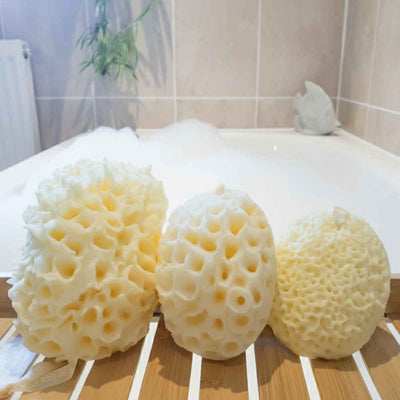 The Coral Scrubs Family Bath Sponges